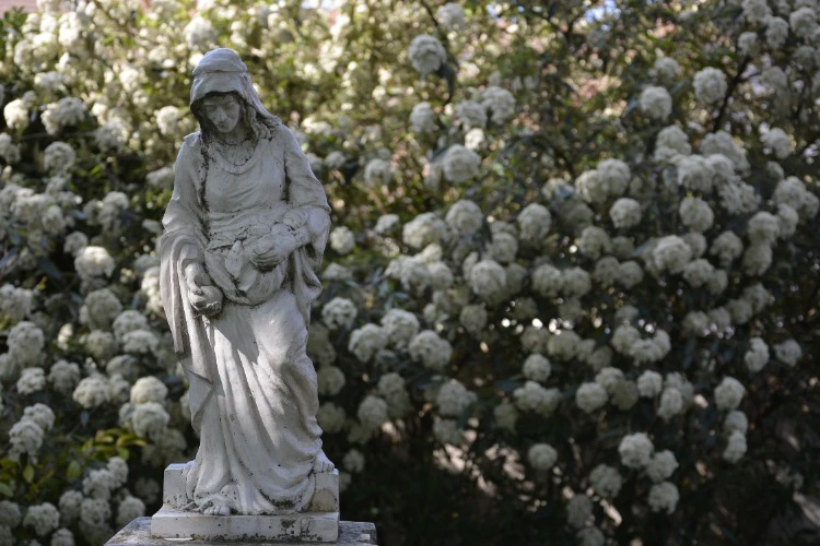 Szent Erzsébet-szobor