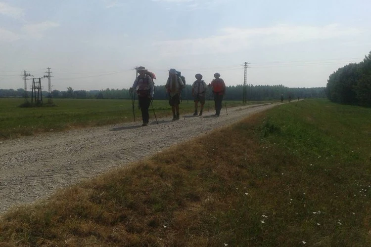 42c-meleg-1-1499856500.jpg